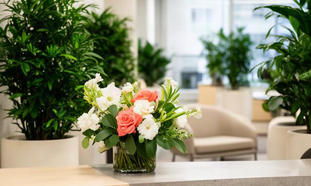 Recepción de una empresa decorada con plantas verdes y un arreglo floral contemporáneo