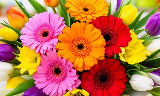 Ramo vibrante de gerberas y tulipanes para un cumpleaños